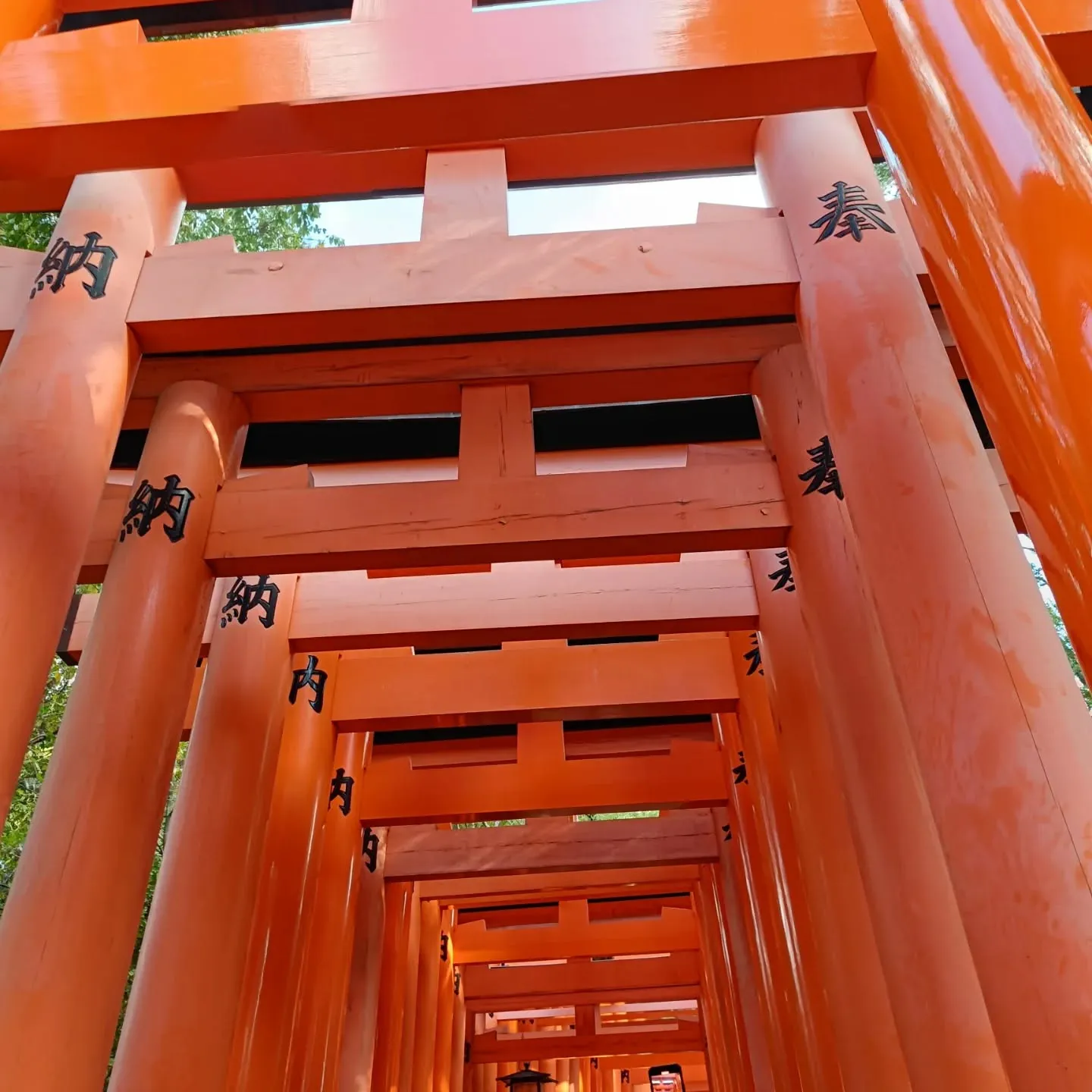 喪中の為新年の挨拶は控えさせていただきます。