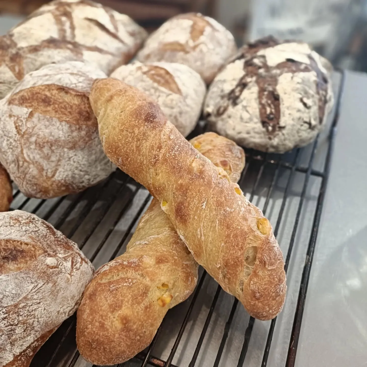 新商品のお知らせです。