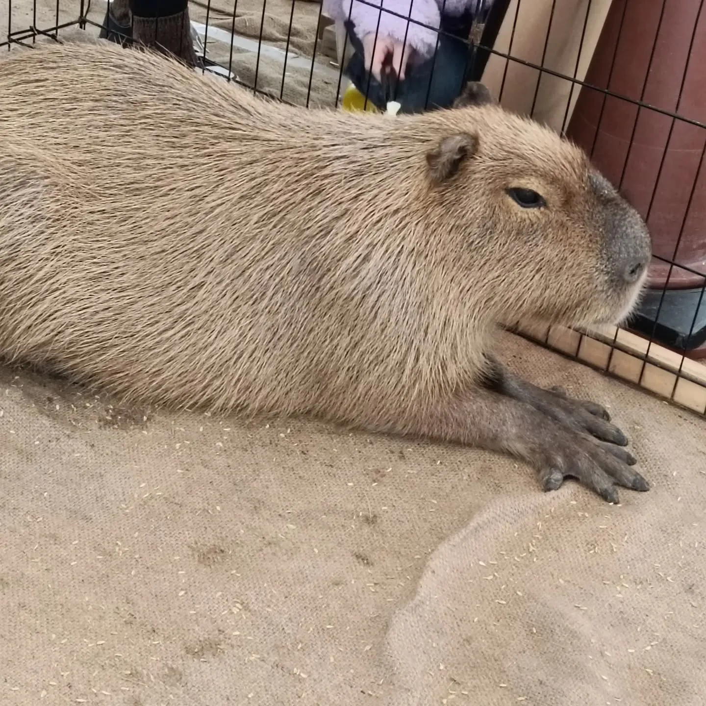 怒涛のイベント3日間