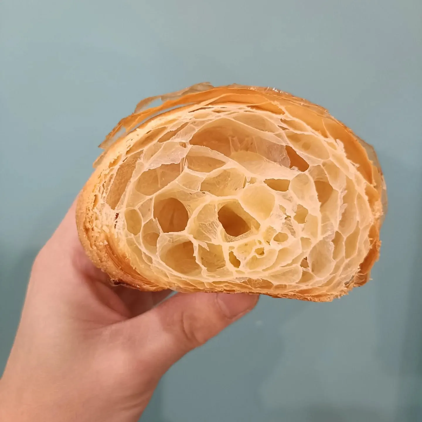 【12月28日出店者紹介】