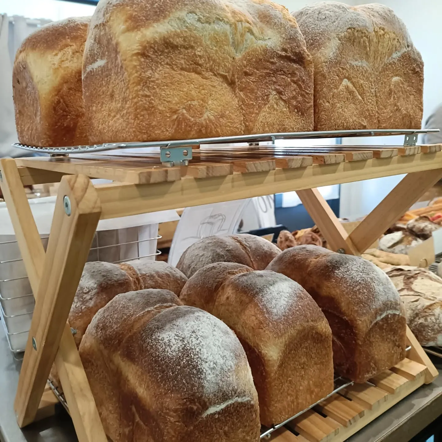 【1月25日出店者紹介】