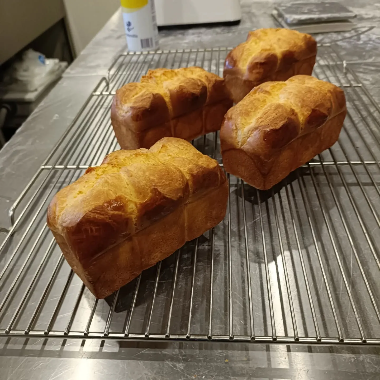 【3月22日出店者紹介】